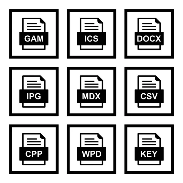 Conjunto Iconos Formatos Archivo — Archivo Imágenes Vectoriales