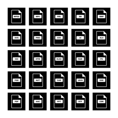 Beyaz arkaplanda 25 adet dosya biçimi simgesi izole edildi...