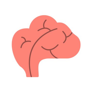 Beyaz arka planda izole edilmiş düz stil insan beyni ikonu. diş sembolü vektör çizimi.