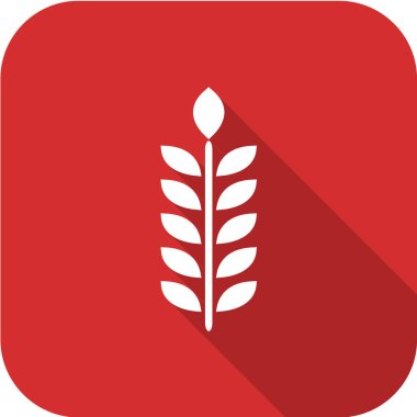 buğday kulaklarının vektör düz simgesi