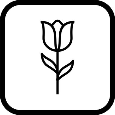  Lale Simgesi Moda Biçiminde İzole Arkaplan