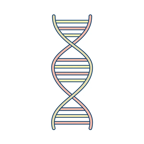 Dna Helix Icon Vector Illustration — Stock Vector