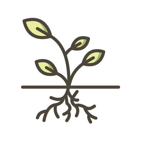 Plant Web Icoon Vector Illustratie — Stockvector