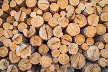 büyük yığın günlükleri