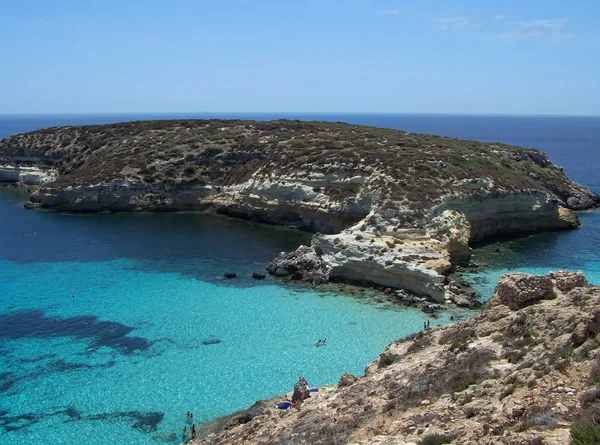 Magnifika Kaniner Lampedusa — Stockfoto