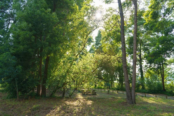 Paisaje Soleado Cerca Del Río Minya Minha Sur Portugal Área —  Fotos de Stock