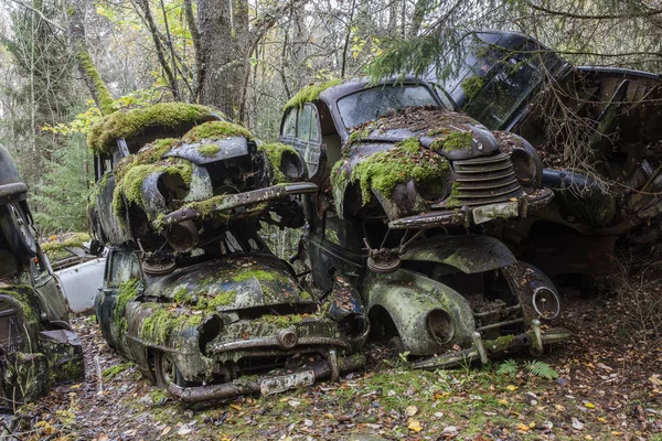 Wrecked Car Scrapyard Bilskrot Swedish Side Border Form Norway — Stock Photo, Image