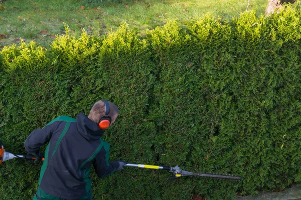 Jardineiro Corta Uma Sebe Com Aparador Sebes Gasolina Moldando Uma — Fotografia de Stock