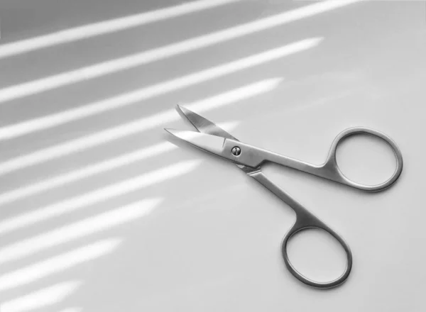 Small steel nail scissors on white background