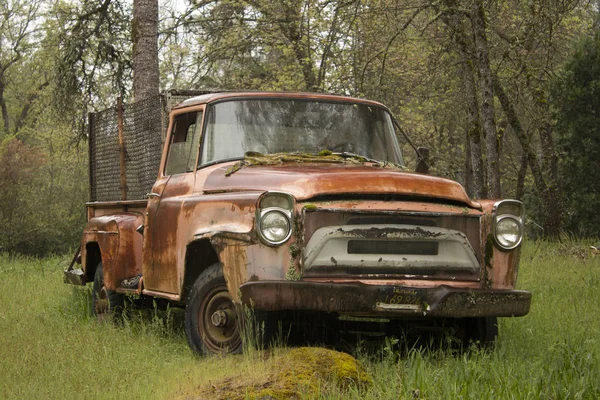 Viejo Camión Oxidado Bosque Durante Lluvia — Foto de Stock