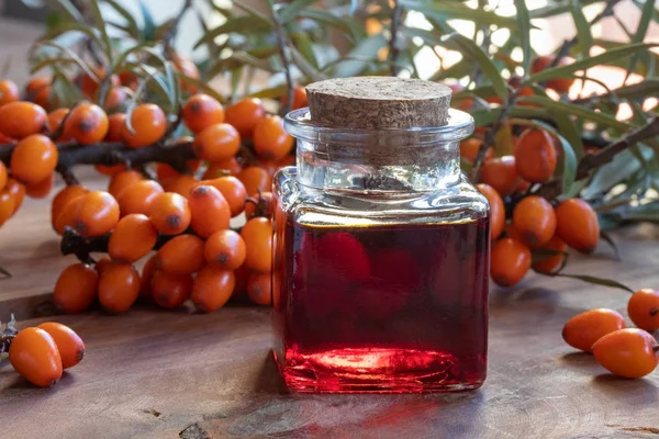 Bottle Sea Buckthorn Oil Fresh Berries Table — Stock Photo, Image