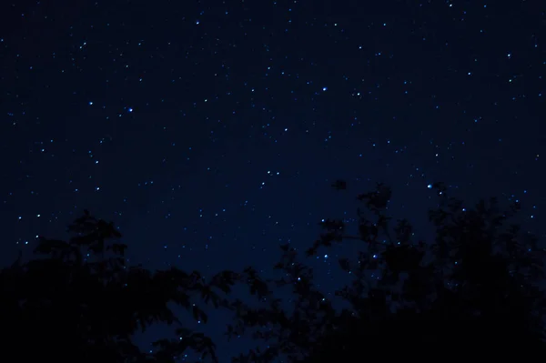 長時間露光夜の写真 手前に木のある星がたくさんあります 街から遠く離れてる 夜の風景 — ストック写真
