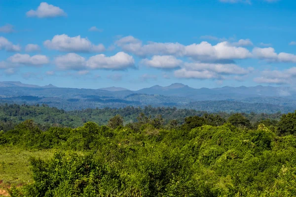 ケニア中央部の森林とアバデア公園の山々の眺め — ストック写真