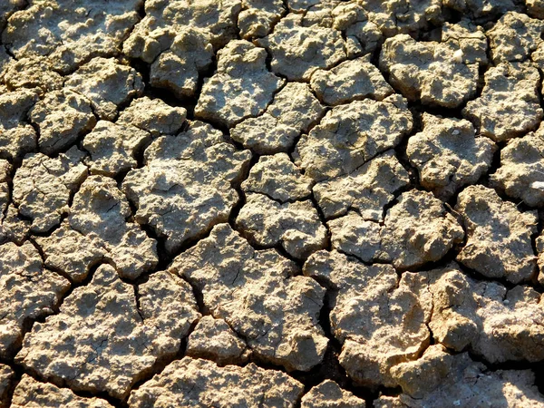 Dry Land Texture Natural Background Copy Space — Stock Photo, Image