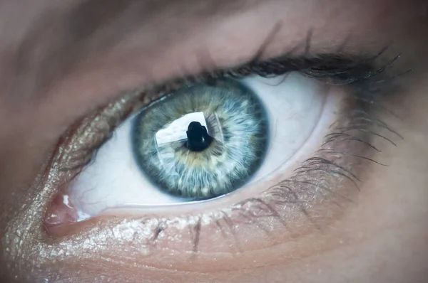 Macro Extrema Ojo Azul Una Chica Con Reflexión Del Fotógrafo —  Fotos de Stock