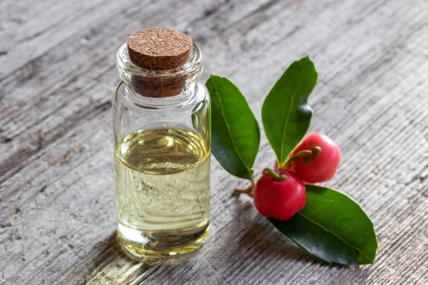 Bottle Essential Oil Wintergreen Leaves Berries — Stock Photo, Image