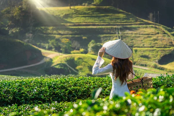 Ασιάτισσα Γυναίκα Φορώντας Βιετνάμ Κουλτούρα Παραδοσιακή Στο Πράσινο Τσάι Τομέα — Φωτογραφία Αρχείου