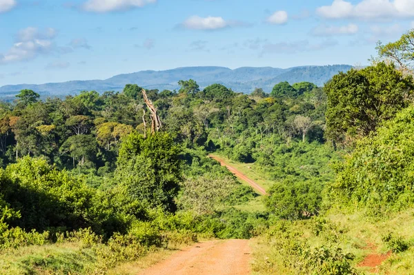 ケニア中央部の森林とアバデア公園の山々の眺め — ストック写真