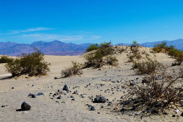 Έρημο Τοπίο Αμμόλοφους Βουνά Στο Παρασκήνιο — Φωτογραφία Αρχείου