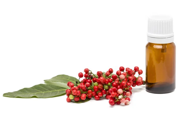 Pistacia Lentiscus Lentisk Red Berries Essential Oil Glass Bottle Isolated — Stock Photo, Image