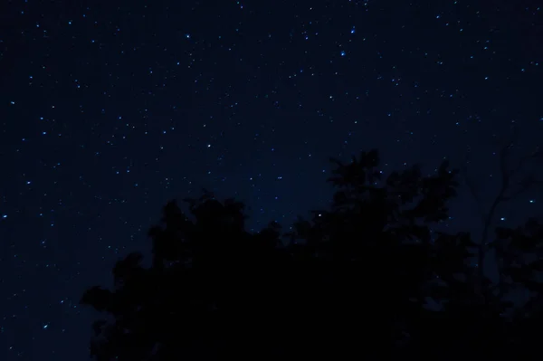 Long Exposure Night Photo Lot Stars Trees Foreground Far City — Stock Photo, Image