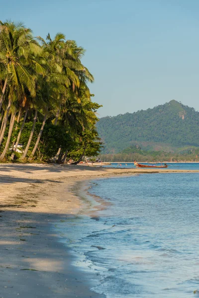 Palmbomen Het Paradijs Zoals Zandstrand Thailand — Stockfoto