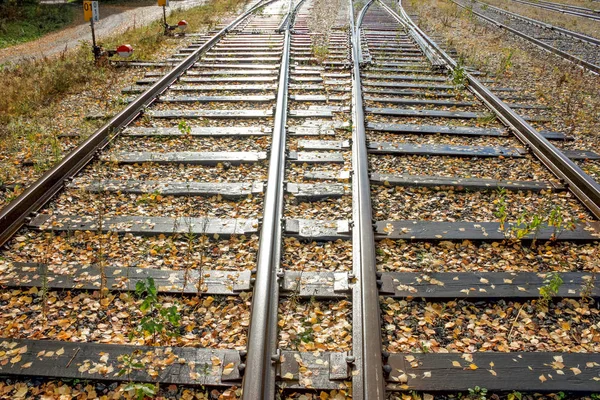 Dos Líneas Ferroviarias Que Van Perspectiva Los Días Soleados — Foto de Stock