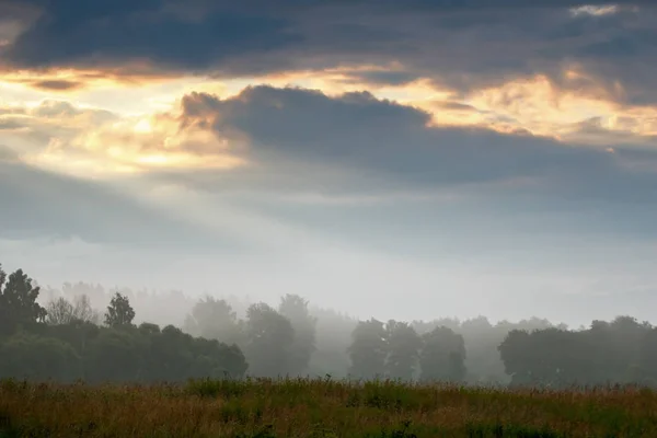 Vakkert Landskap Med Tåke Sommervakkert Idyllisk Landskap Latvia Meadow Tre – stockfoto