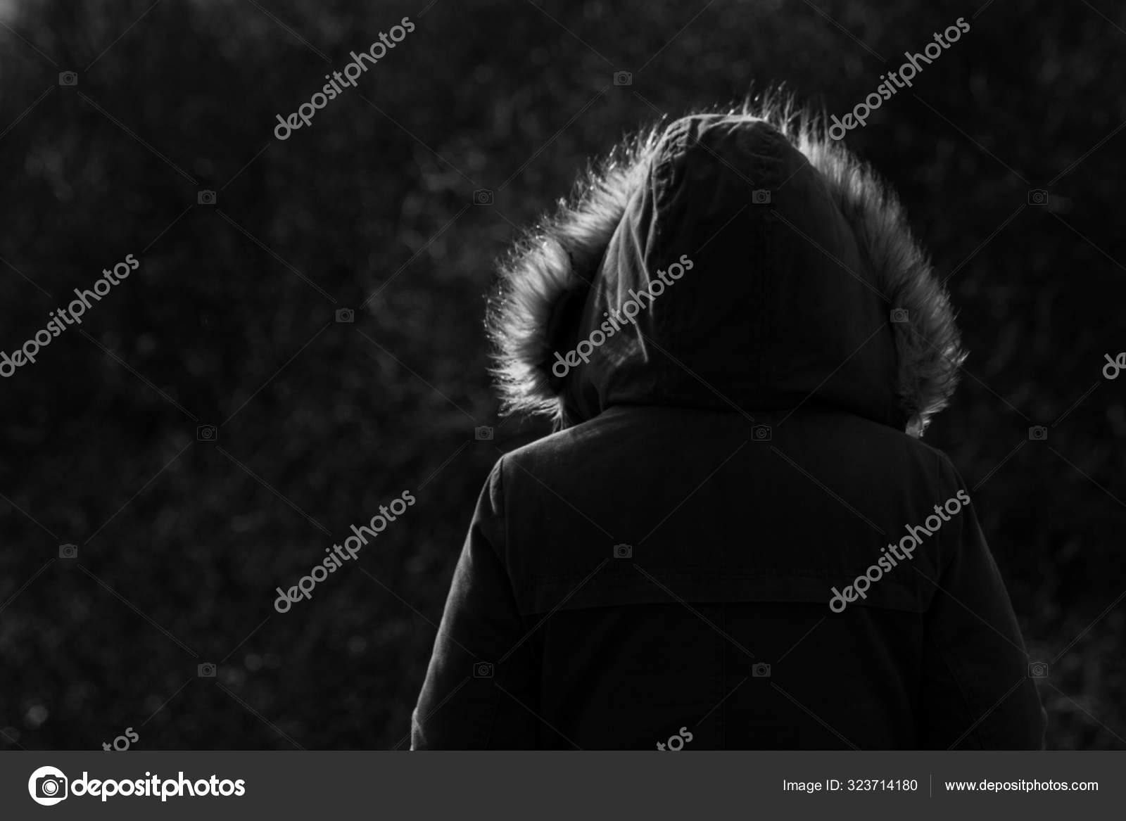 Girl Wearing Fur Hooded Parker Jacket Woodland Background Stock Photo ...
