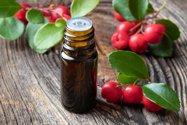 Bottle Essential Oil Fresh Wintergreen Twigs Oon Wooden Background — Stock Photo, Image