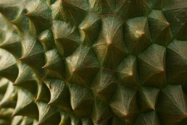 Surface Peau Durian Été Honorée Être Roi Des Fruits Fruits — Photo