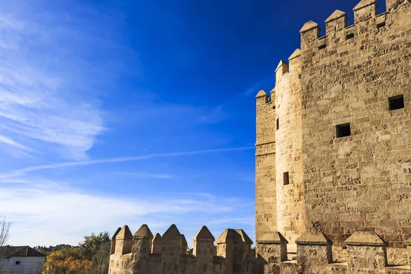 Zijaanzicht Van Calahorra Toren Bij Romeinse Brug Van Cordoba — Stockfoto