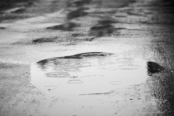 Puddle Water Rain Selective Focus — Stock Photo, Image
