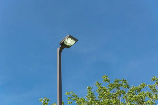 Look-up view of street lighting near tree with light comes on during the daytime. Concept for waste of electricity. Light pole supports for ceilings with led lamps under cloud blue sky