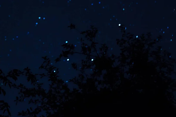 Long Exposure Night Photo Lot Stars Trees Foreground Far City — Stock Photo, Image