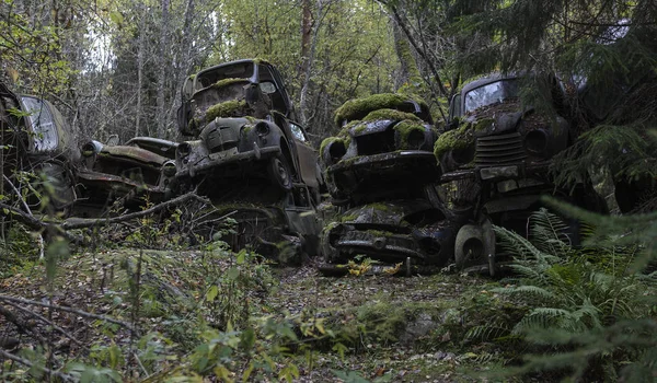 Auto Distrutta Cantiere Demolizione Bilskrot Lato Svedese Della Forma Confine — Foto Stock