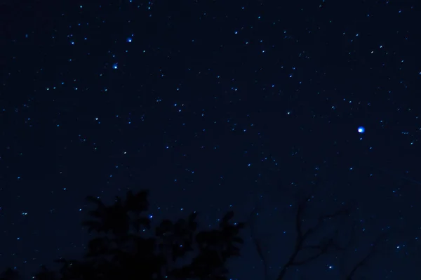 Long Exposure Night Photo Lot Stars Trees Foreground Far City — Stock Photo, Image