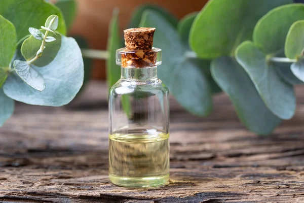Flaska Eterisk Olja Med Färska Eukalyptusblad — Stockfoto