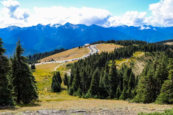 Widok Góry Górach Olimpijskich Olympic National Park Waszyngton Usa — Zdjęcie stockowe