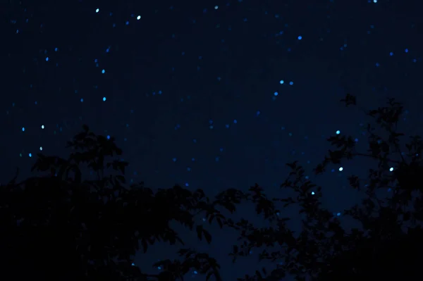 長時間露光夜の写真 手前に木のある星がたくさんあります 街から遠く離れてる 夜の風景 — ストック写真
