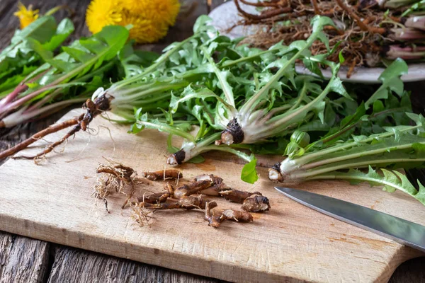 Att Skära Maskros Rot Ett Bord — Stockfoto