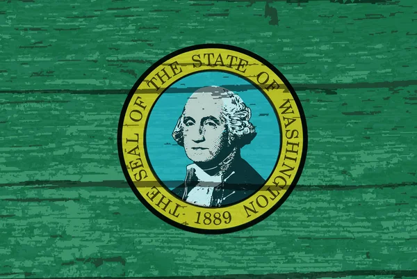 Vlag Van Amerikaanse Staat Washington — Stockfoto