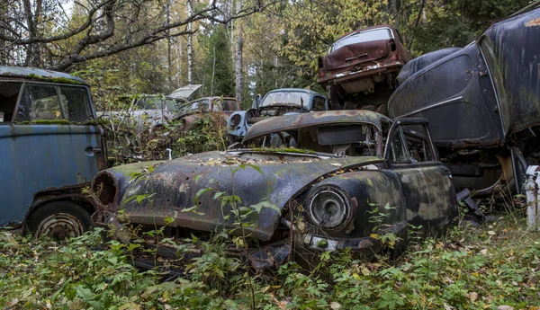 Wrecked Car Scrapyard Bilskrot Swedish Side Border Form Norway — Stock Photo, Image