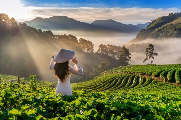 在泰国清迈Doi Ang Khang的草莓园 亚洲妇女穿着传统的越南文化 — 图库照片