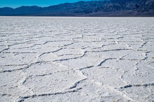 Close View Bad Water Salt Field Lowest Point North America — Stock Photo, Image