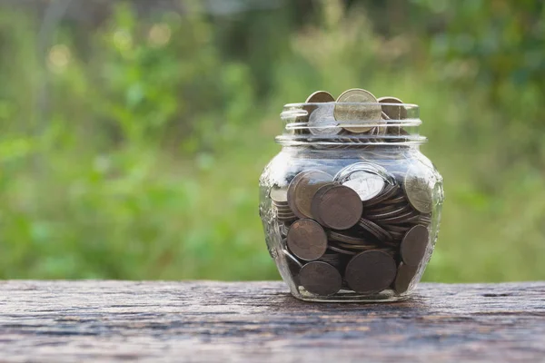 Munten Glas Stapel Munten Met Boom Voor Het Bedrijfsleven Het — Stockfoto