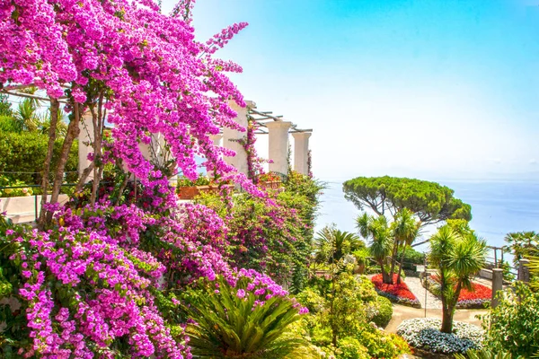 Wunderschöne Gärten Der Villa Rufolo Ravello Italien — Stockfoto