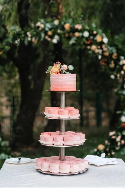 Hochzeitstorte Bei Der Hochzeit Des Brautpaares — Stockfoto