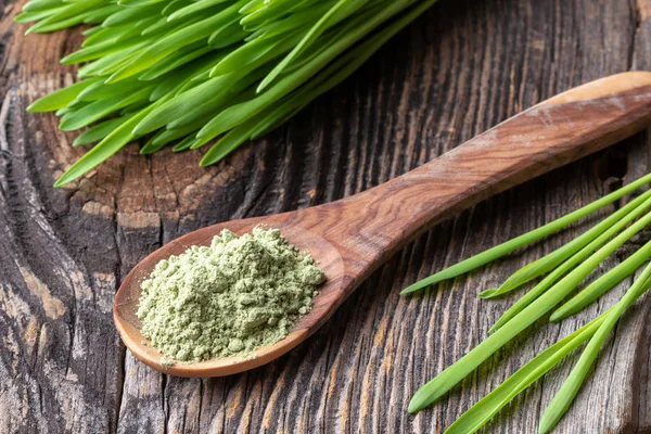 Hierba Cebada Polvo Sobre Una Cuchara Con Planta Fresca Sobre — Foto de Stock