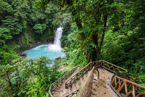 Cascata Maestosa Nella Giungla Della Foresta Pluviale Del Costa Rica — Foto Stock